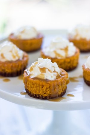 Mini Pumpkin Cheesecakes with Gingersnap Crust - ADA's 5 best thanksgiving recipes